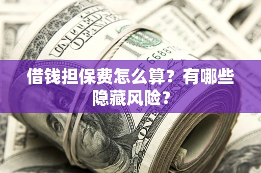 武汉借钱担保费怎么算？有哪些隐藏风险？