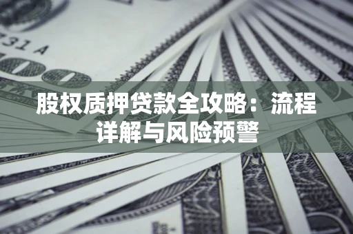 武汉股权质押贷款全攻略：流程详解与风险预警