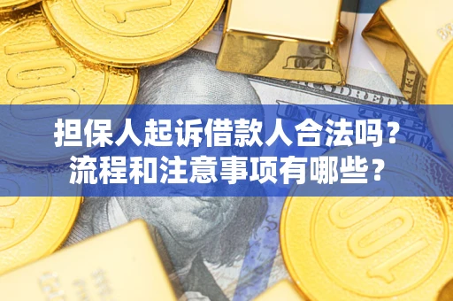 武汉担保人起诉借款人合法吗？流程和注意事项有哪些？