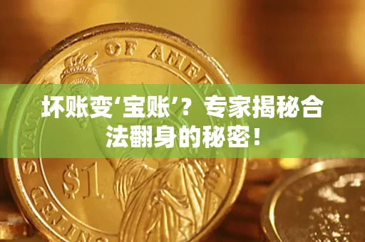武汉坏账变‘宝账’？专家揭秘合法翻身的秘密！
