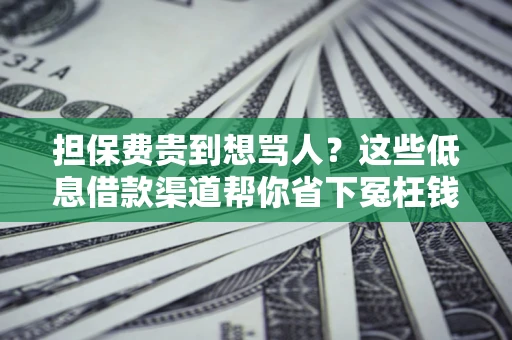 武汉担保费贵到想骂人？这些低息借款渠道帮你省下冤枉钱