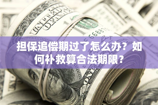 武汉担保追偿期过了怎么办？如何补救算合法期限？