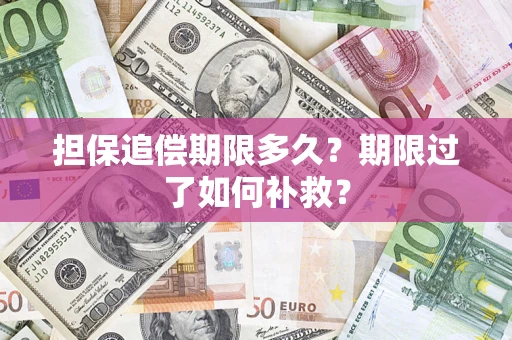 武汉担保追偿期限多久？期限过了如何补救？