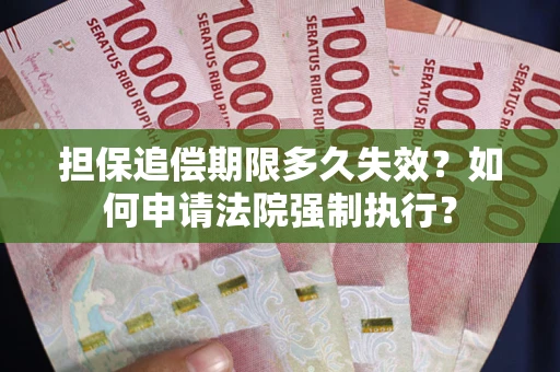 武汉担保追偿期限多久失效？如何申请法院强制执行？