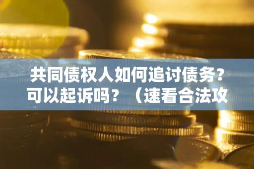 武汉共同债权人如何追讨债务？可以起诉吗？（速看合法攻略）