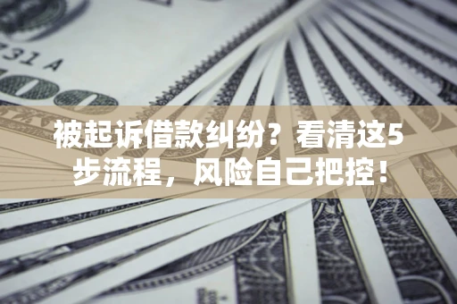 武汉被起诉借款纠纷？看清这5步流程，风险自己把控！