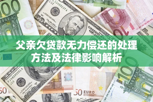 武汉父亲欠贷款无力偿还的处理方法及法律影响解析