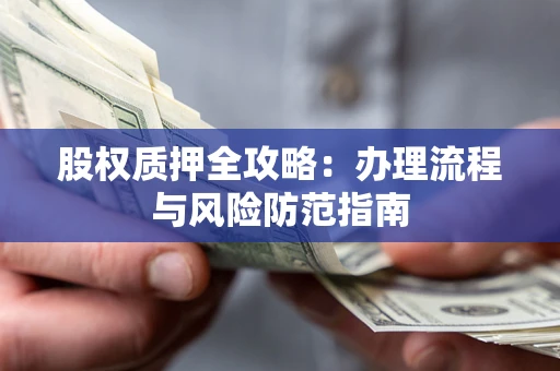 武汉股权质押全攻略：办理流程与风险防范指南