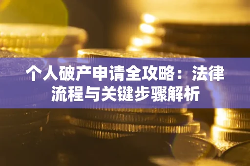 武汉个人破产申请全攻略：法律流程与关键步骤解析