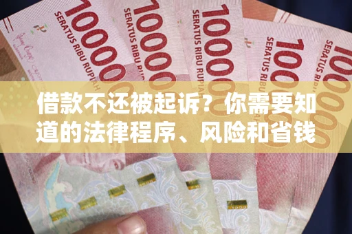 武汉借款不还被起诉？你需要知道的法律程序、风险和省钱技巧