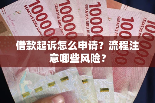 武汉借款起诉怎么申请？流程注意哪些风险？