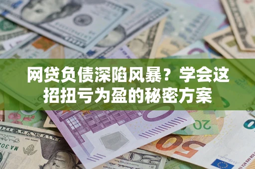 武汉网贷负债深陷风暴？学会这招扭亏为盈的秘密方案